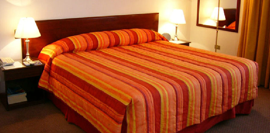 Hotel Alcala Del Rio Santiago du Chili Extérieur photo